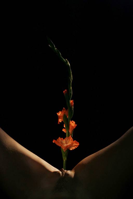 Mother Earth # 7 From the collection Mother Earth
Photograph Robert Young 1994