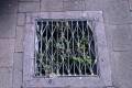 Green Water Grate | The Street