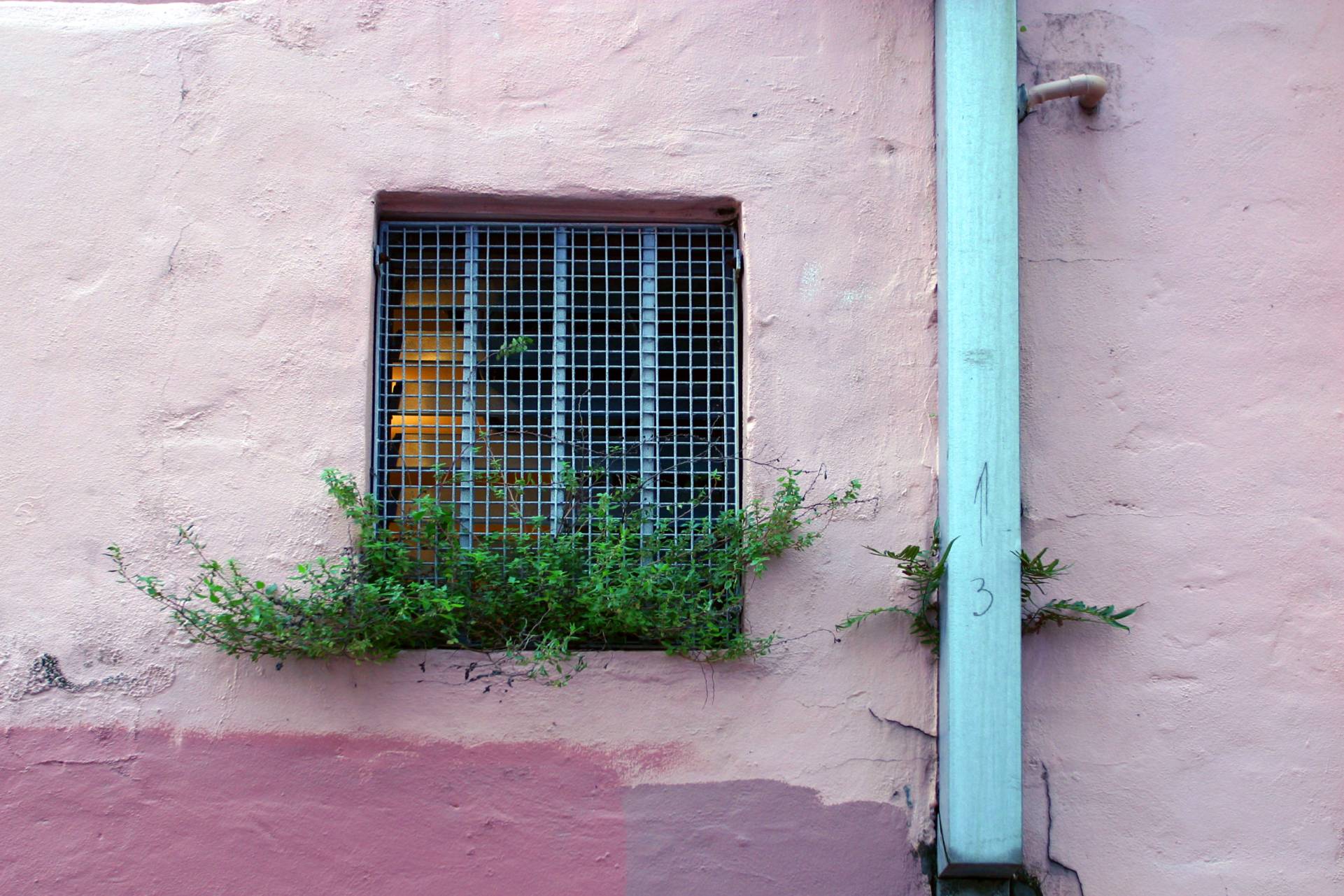 Three Up. The Street | sections of colour. Photograph Robert Young Artist. Selection of images from Chippendale. 1998